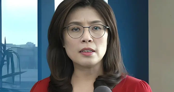 郑丽文向赖清德和美国交底！亲美派疯狂反扑，“蓝皮绿骨”掀桌子