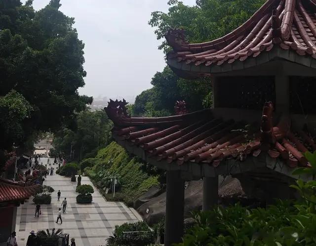 茶局惊现"国际峰会"！印巴炮火、信仰冲突…跑个步竟听到这些猛料