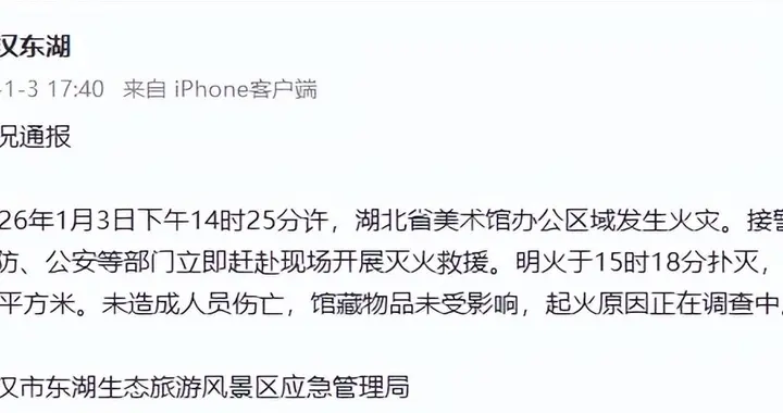 湖北美术馆50平办公室焚毁，千平画库无恙？实时信息全梳理