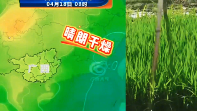 广西60年一遇的天气就要来了。