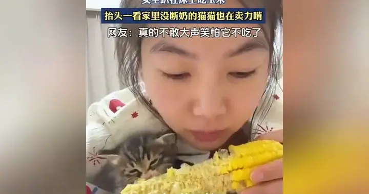 女生趴在床上吃玉米，抬头一看家里没断奶的猫猫也在卖力啃。