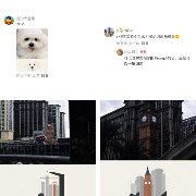 存档