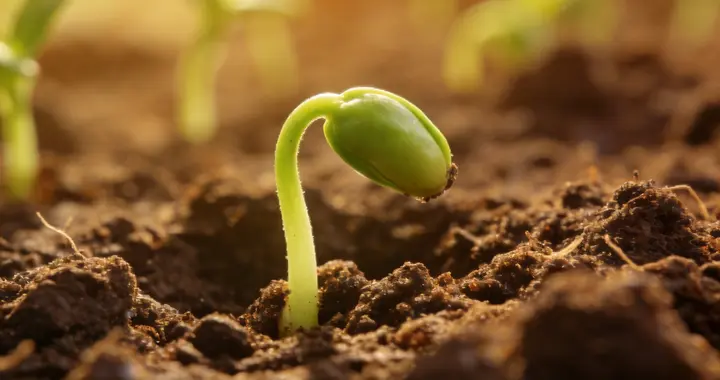 90%的不知道！普通家庭如何在有限的资源下给孩子最好的人生起点