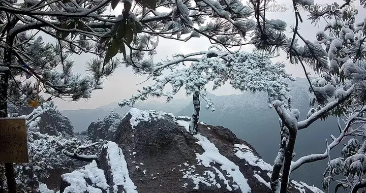 浦！江！下！雪！了！