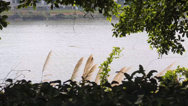 人生没有无用的经历