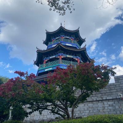 305567桂华：：登楼观海花熠熠