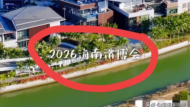 爆爆爆锦鲤：谁能想到，董宇辉居然出现在了