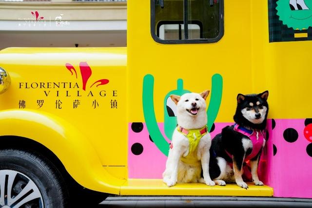 盎然春日，悠游盛时！FV佛罗伦萨小镇邀您“来小镇逛春天”