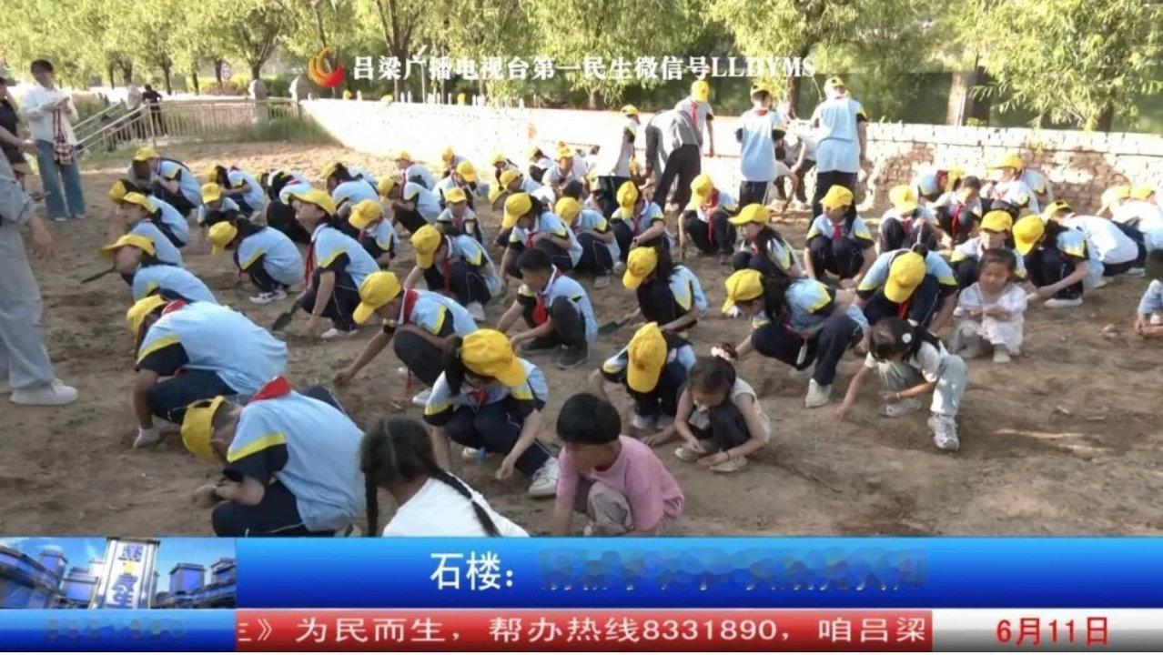 发布了头条文章：《石楼：躬耕学农事 实践觅真知》