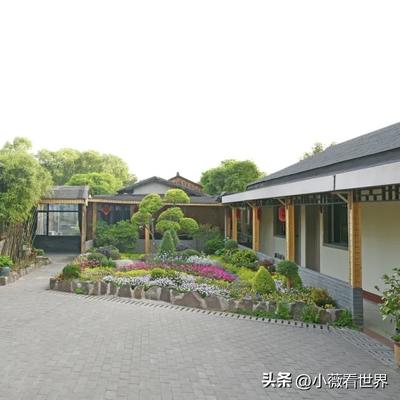 小薇看世界：我们这高中同学聚会，是越来越