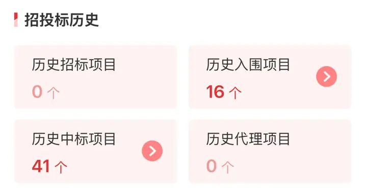 一网安 CEO 被「限制消费」列入失信被执行人