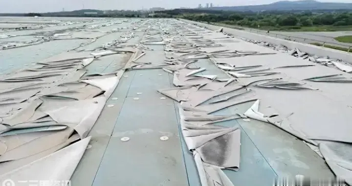 大连一企业称用瑞士西卡防水卷材仅用13年碎成拼图