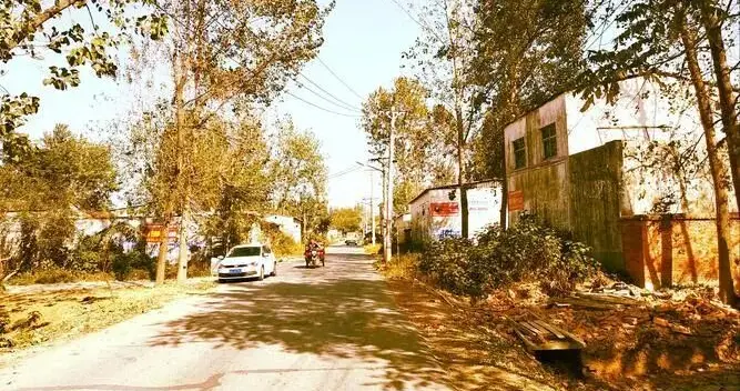 【红色记忆】禹城赵庄惨案（马惠彬/整理）