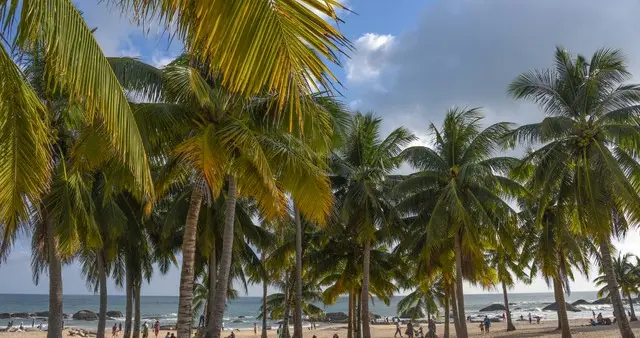 海南封关这事，简直太牛了！