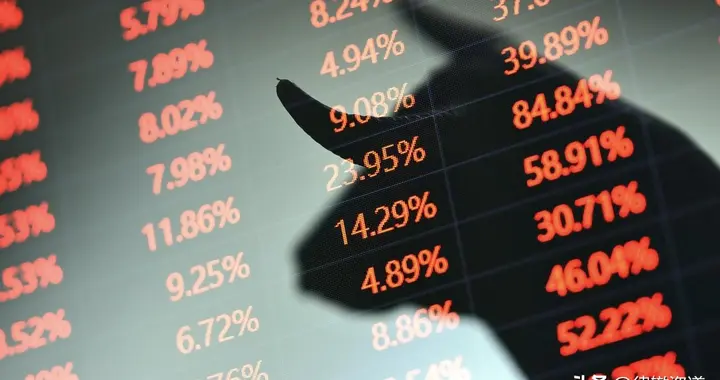 借鉴巴菲特：在中国产业政策与早期赛道中寻找“下一个比亚迪”​