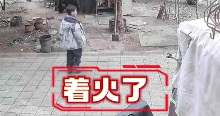 两少年玩烟火烧狗笼，狗已死，狗主人震怒不想私了，孩子家长发声