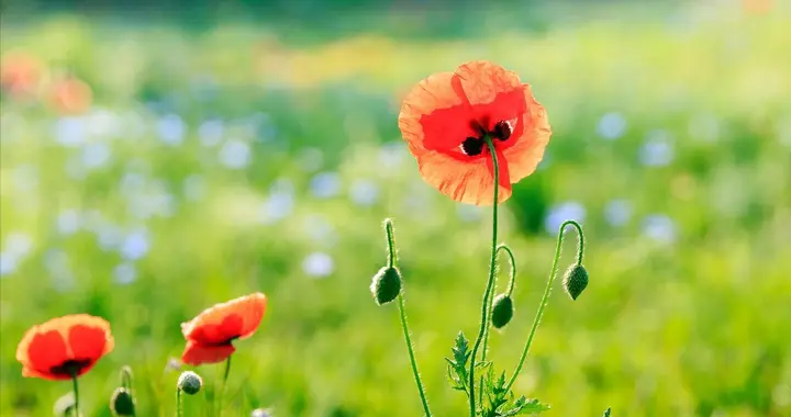 判断女人能否和你走下去，往往一件小事就能看出来，很准