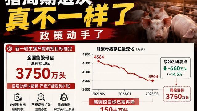 龙舞汇金：猪周期这次真不一样了，政策动手