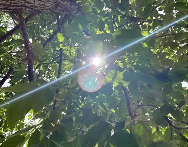 人到中年，快不快乐，也许只在于你怎么想