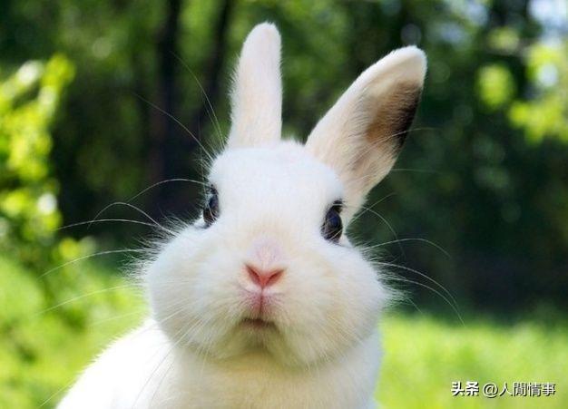 天降大喜，4月财运逆袭，这3生肖顺遂到底，一路旺