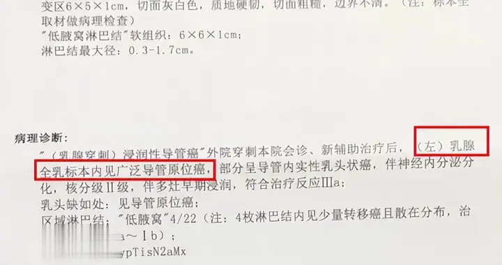 37岁两阳一阴乳腺癌，淋巴转移——病理报告解读