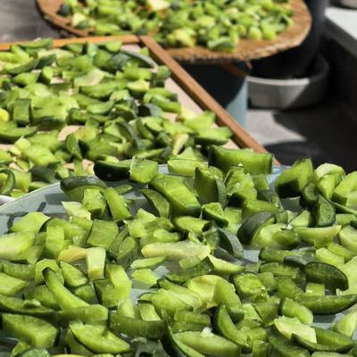 阳光：今日4月12