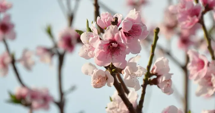 不太追求刺激，但日子过得不错的三个星座