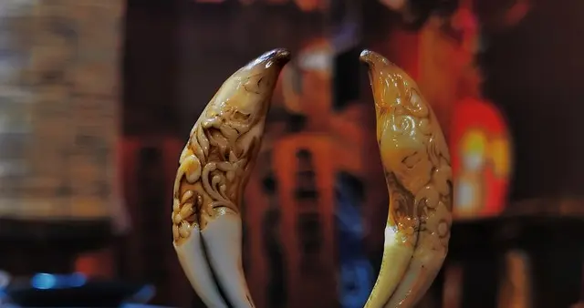 一定要牢记：在你住的房子里，这就是最好的风水