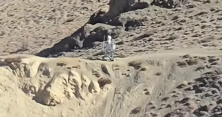 中印边境惊现机器人哨兵，印军嘲笑是稻草人，对中国边防有何意义