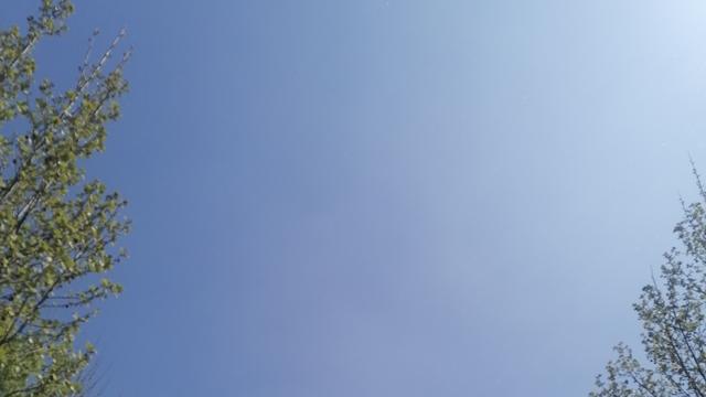 海之般若： 离婚时是否