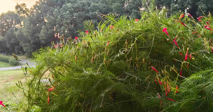 养生专家说"你只要有时间就去睡觉，一天比别人多睡一小时