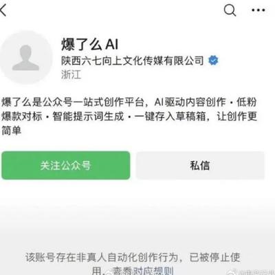 陈斌：夫妻AI写公众号年赚200万，根本