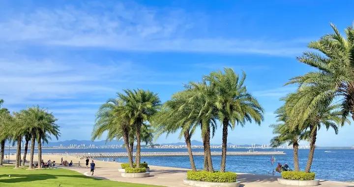 选10只长期股养老？我叔踩过的坑才叫真经验