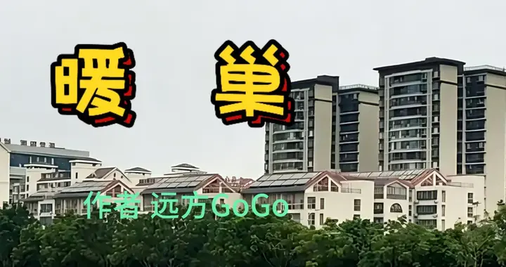 暖巢|第三章 冬至论证