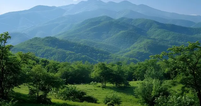 生活中一句随口的闲聊，有时候真能成为改变命运的契机