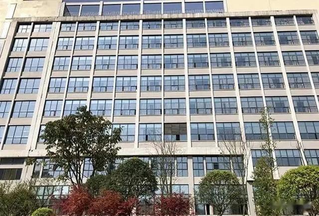 孩子喊了校长绰号，被扇耳光，没想到6天后父亲跳楼