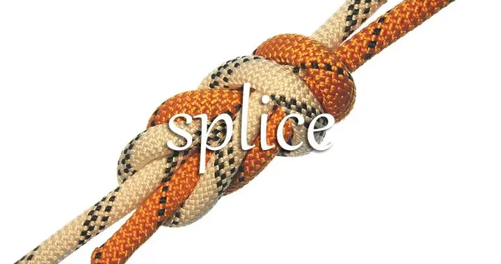 《经济学人》每日一词：splice