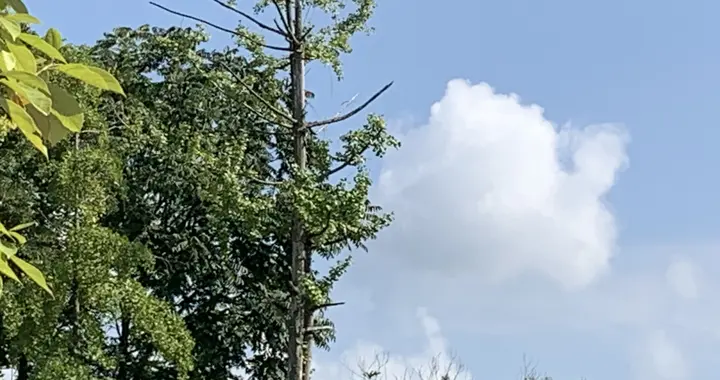 关于婚姻的四个谎言，早看透早清醒！