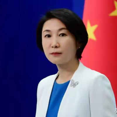 王玨：惨烈！一年撤销8000签证，外交部