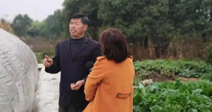 濒临绝迹的野菜！2017江苏男子发现两棵能结籽，花5年种出1亩