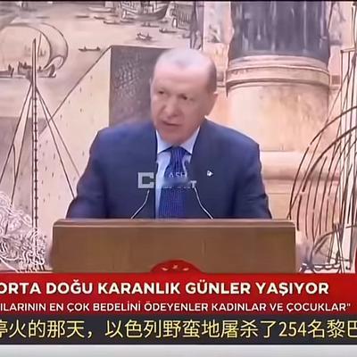 范工晋拍：土耳其总统看不下去了，对以色列