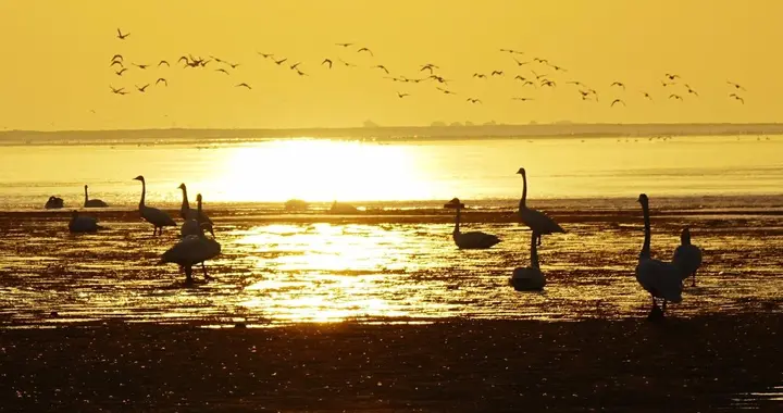 提效50%、实现全流量管控：日均千亿PV日志系统架构升级之路