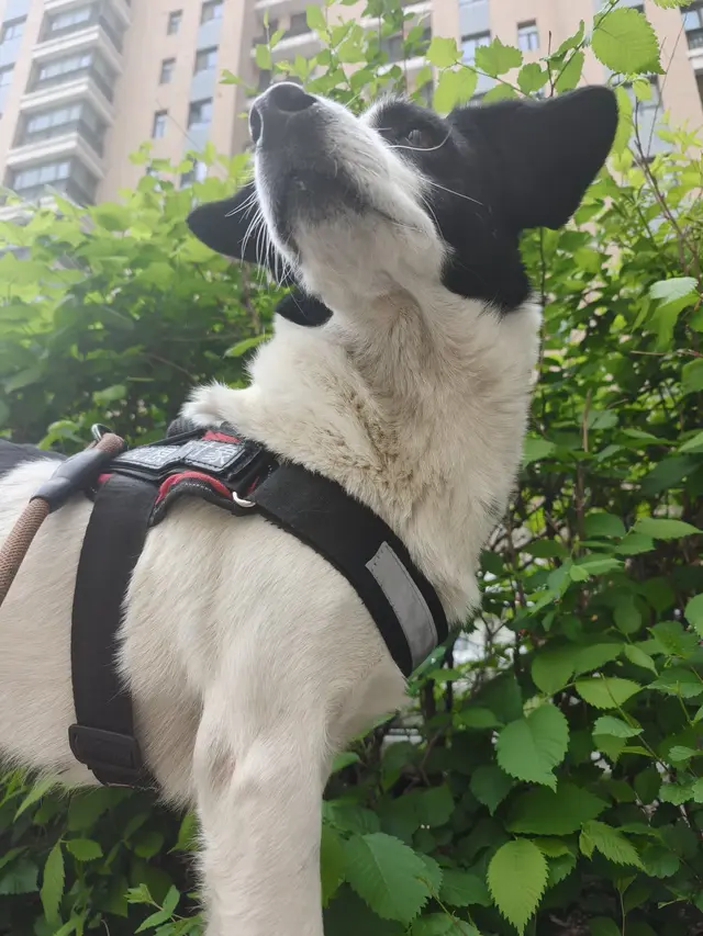 男性和女性，谁更想结婚？