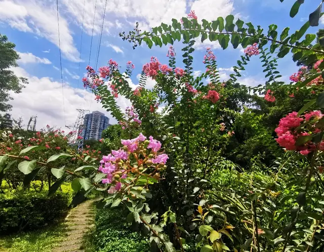 我带83岁老爸去医院看心内科与骨科医生，从早上忙到晚上，真累