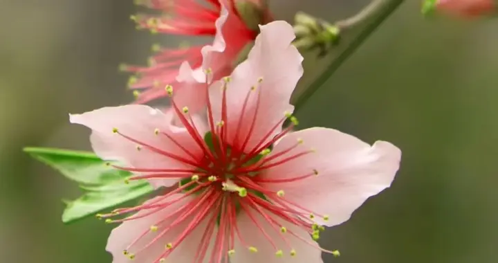 同题诗 晚风偷藏半句告白