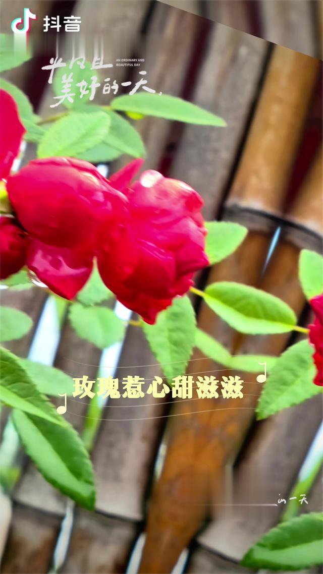 现代诗（原创）：《初恋》