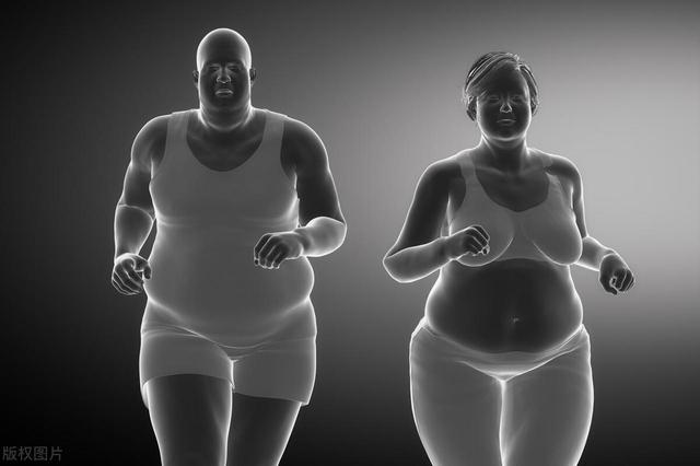 减肥不能靠饿 减肥饮食与运动如何合理搭配