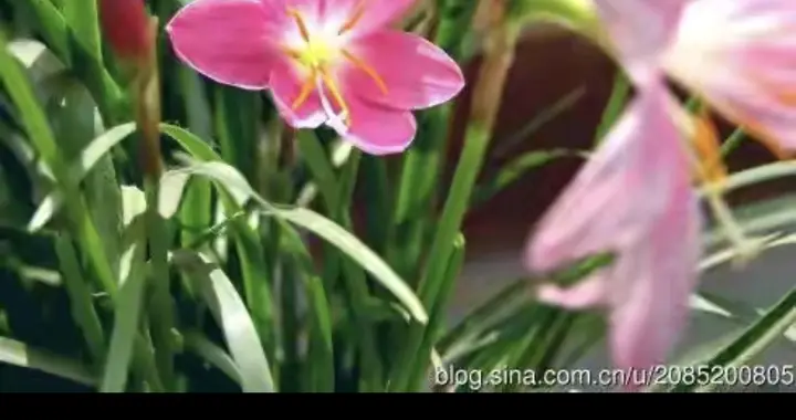 珍惜自己的原配