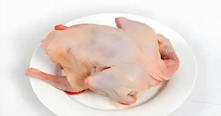 鸽子肉又一次被热议！医生：吃鸽子解决这5类问题，但小心3条禁忌