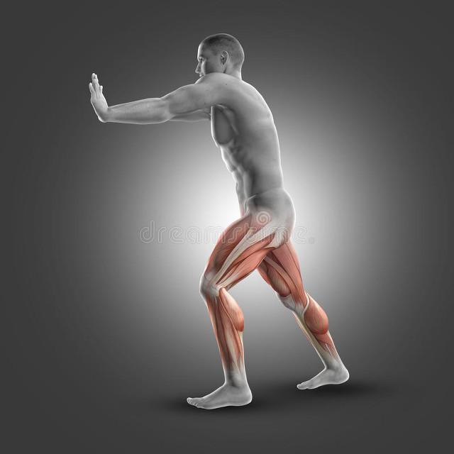 斜撑与剪刀撑：体育训练中的两种核心锻炼方式